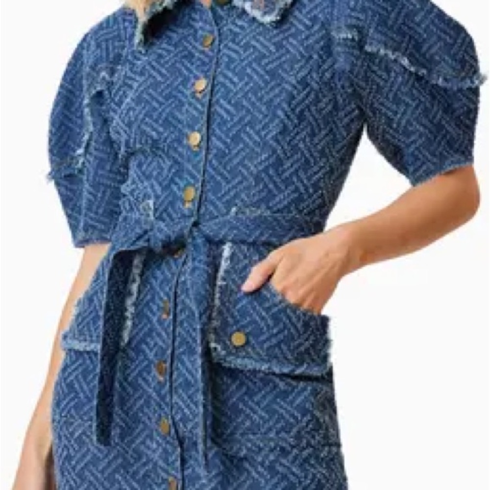 Elliatt Cora Short Sleeve Denim Mini Dress
